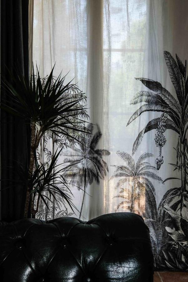 Villa Des Antiquaires Bédarieux 외부 사진