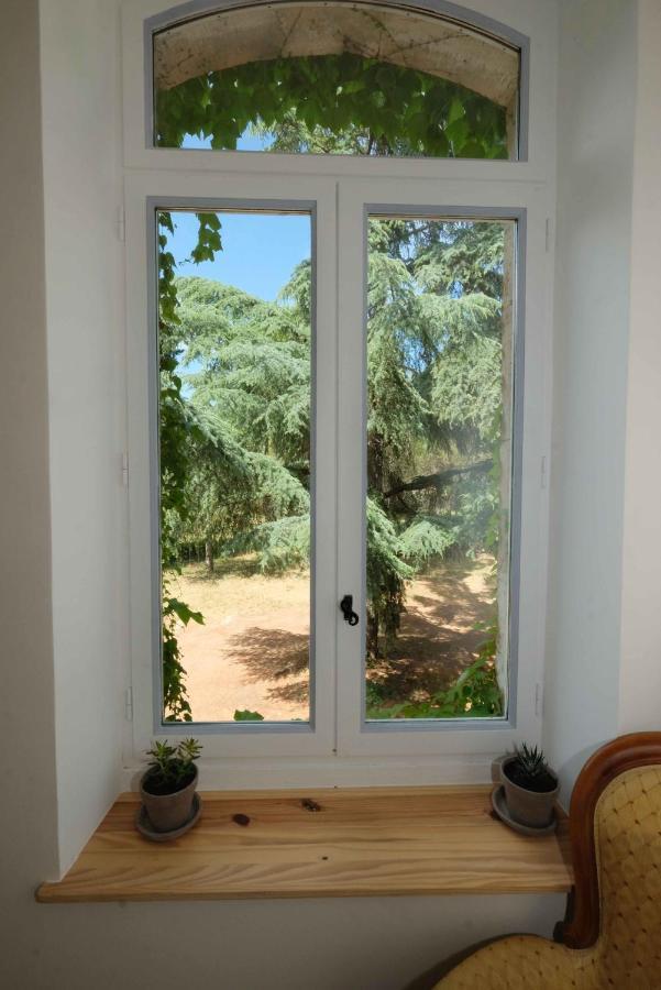 Villa Des Antiquaires Bédarieux 외부 사진